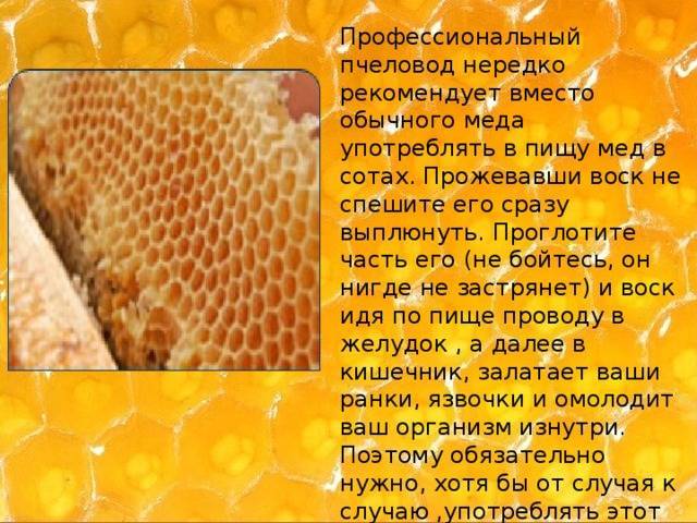 Мед в сотах — 6 фактов о пользе и вреде, как его едят и сколько он хранится