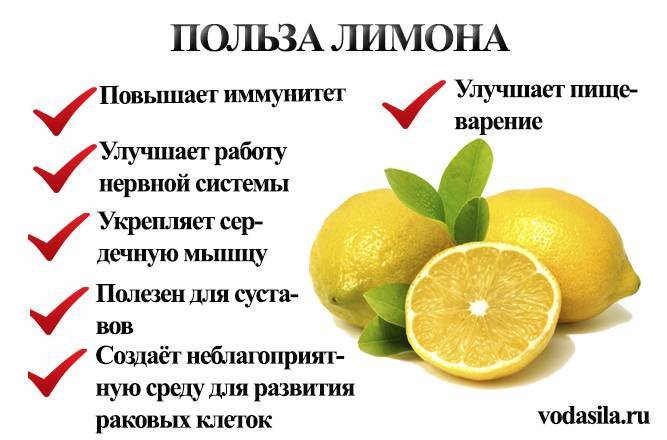 Лимонная вода: польза и свойства. как пить лимонную воду - сила-воды.ру
