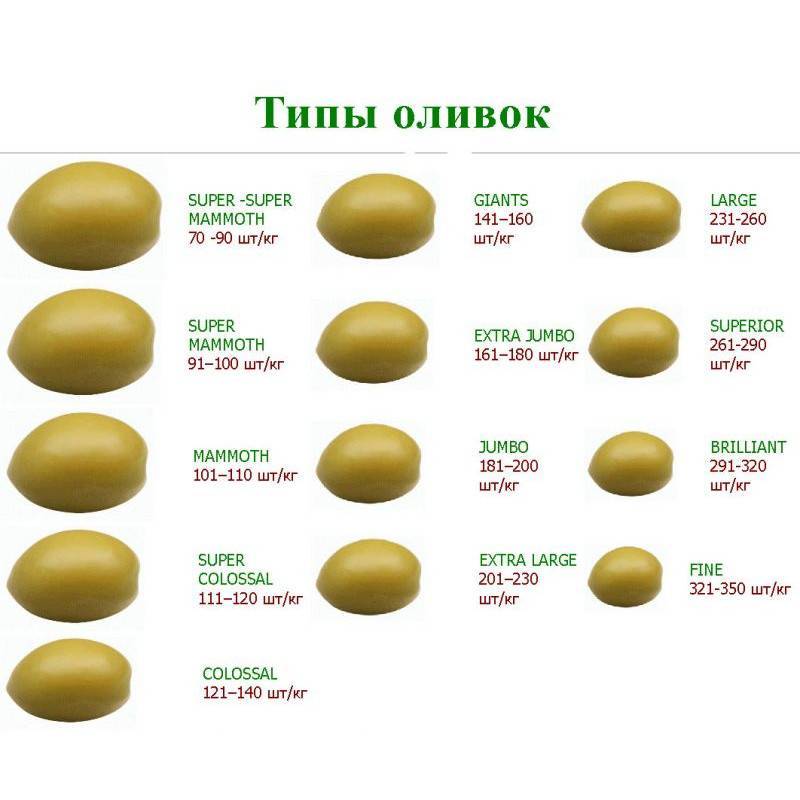Чем отличаются оливки от маслин и что полезнее?
