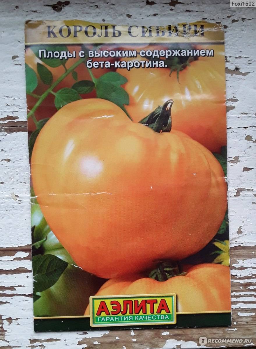 Настоящий гигант с глянцевой кожицей — томат король крупных: подробное описание
