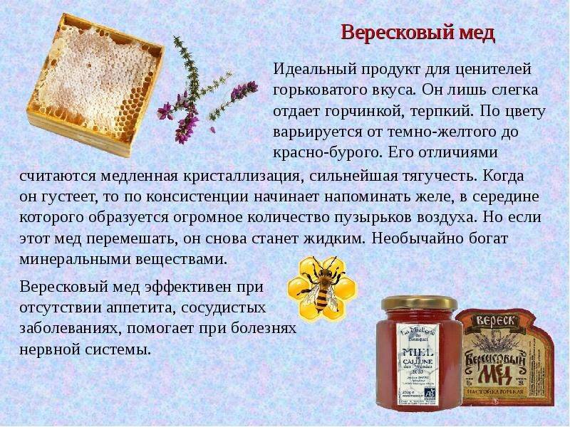 Майский мёд — описание. состав. полезные свойства. рецепты