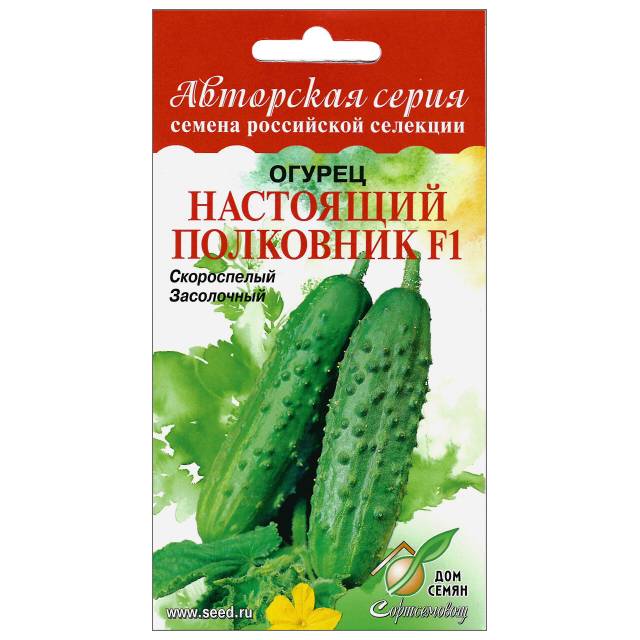 Огурец «настоящий полковник»: описание и агротехника выращивания