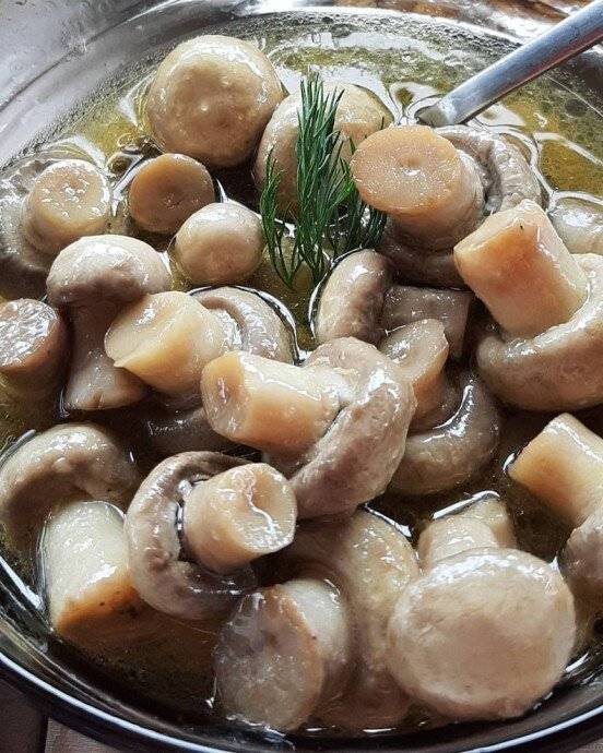 Белые грибы — рецепты приготовления вкусных белых грибов на зиму различными способами