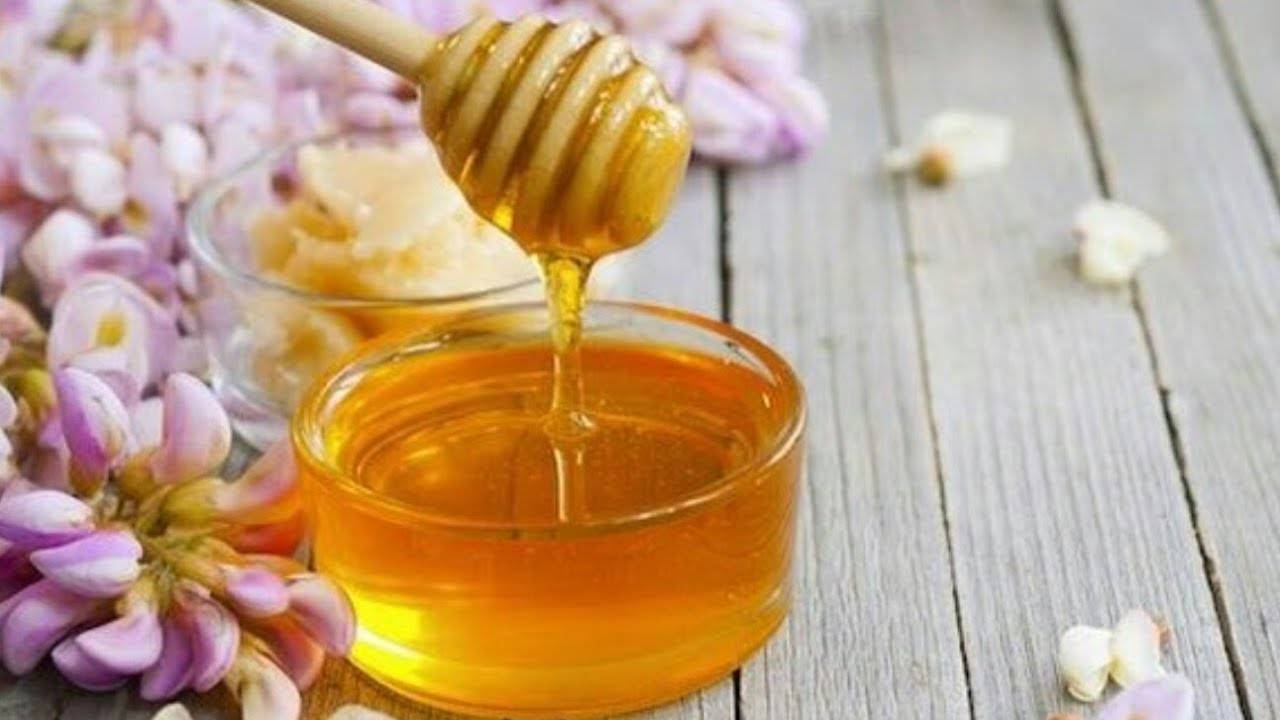 Донниковый мед: как определить натуральность. лечебные свойства и противопоказания - lechilka.com