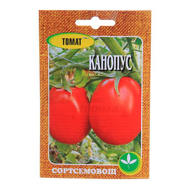 Гость на грядке, названный в честь звезды: томат «канопус»