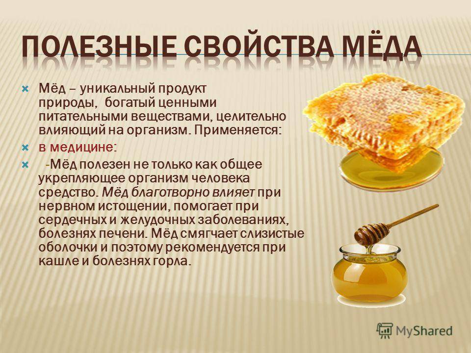 Медовые соты - польза и вред для организма мужчины и женщины. полезные свойства и противопоказания
