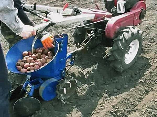Технология посадки картофеля мотоблоком с окучником