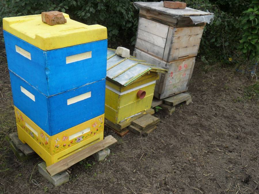 Улей для пчёл своими руками: чертежи, размеры, различные конструкции