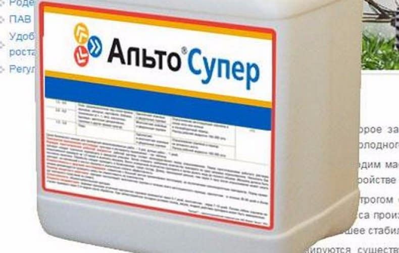 Инструкция по применению и состав фунгицида альто супер, норма расхода