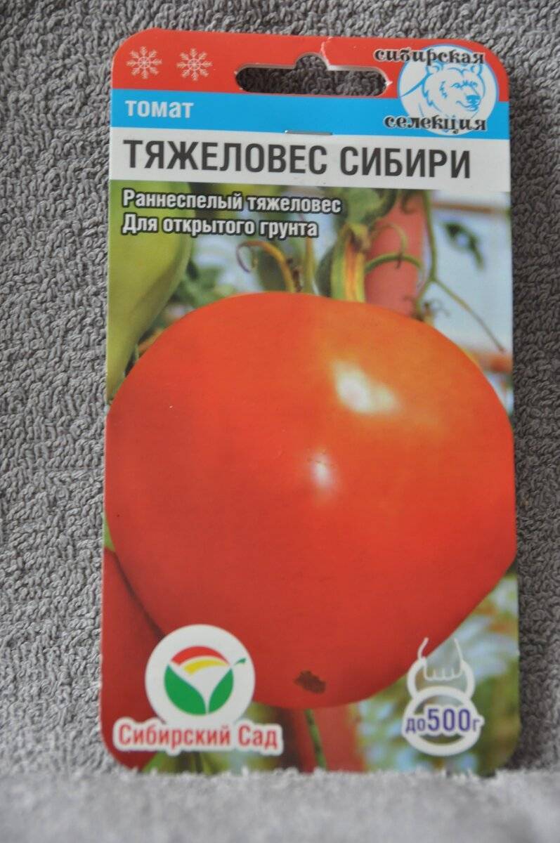 Характеристика томата Тяжеловес Сибири, урожайность и борьба с вредителями