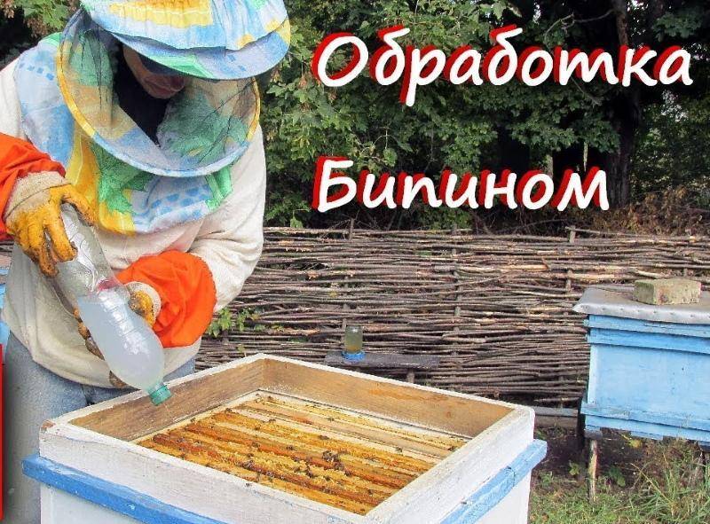 Бипин для пчел от клеща - инструкция, дозировка, как разводить, когда обрабатывать
