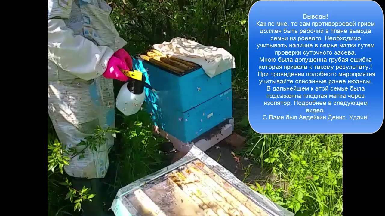 Современное пчеловодство: методы и технологии содержания пчел, видео сезонных работ на пасеке