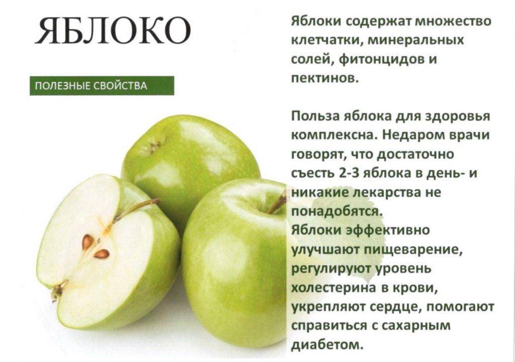 Яблоки: польза и вред для организма. таблица витаминов и микроэлементов - сила здоровья