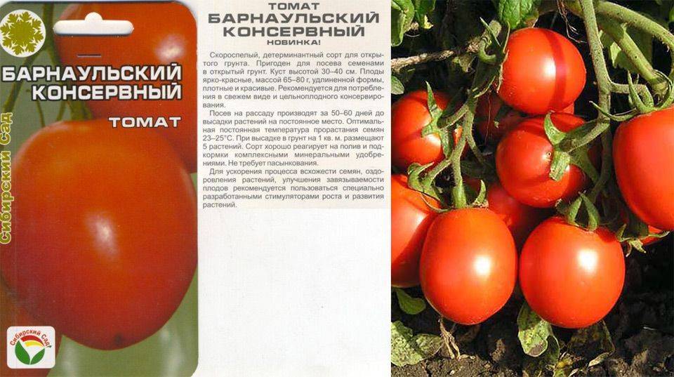 Желтые помидоры: лучшие сорта для открытого грунта, особенности популярных сортов | polemo.ru - дача, огород и сад.