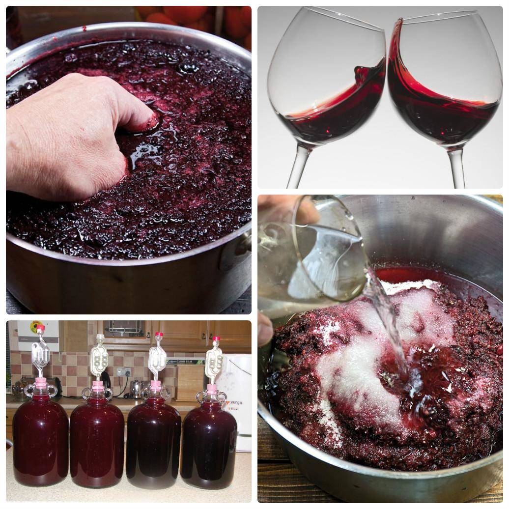 Рецепты как сделать вино — домашние рецепты и советы как и из чего изготовить вкусное вино своими руками (100 фото + видео)