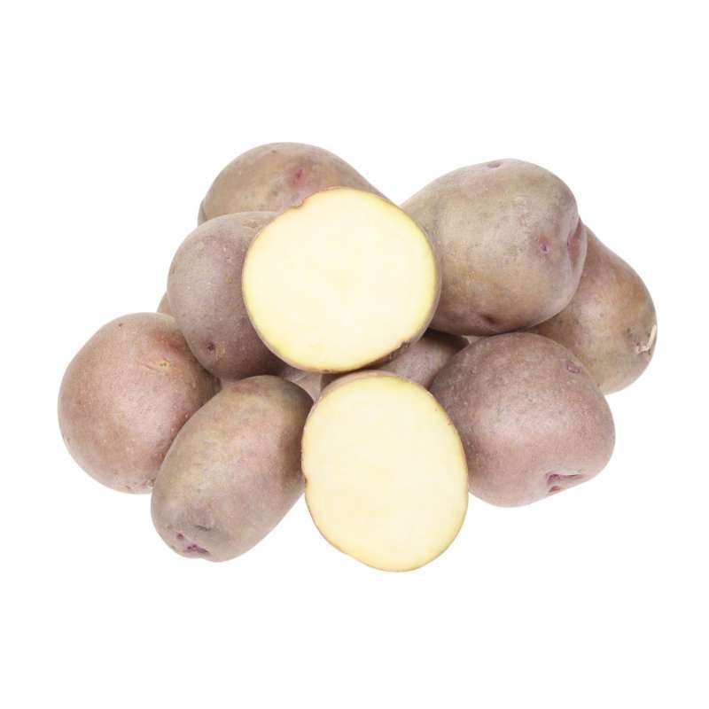 Ранний картофель жуковский: отзывы и фото, описание и урожайность сорта