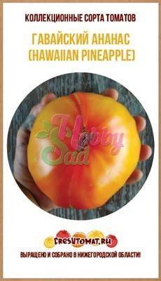 Томат гавайский ананас: описание и характеристика сорта, выращивание и уход с фото