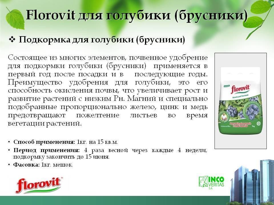 Удобрение для голубики садовой. Схема подкормки голубики. Флоровит для голубики инструкция. Схема обработки и подкормки голубики.