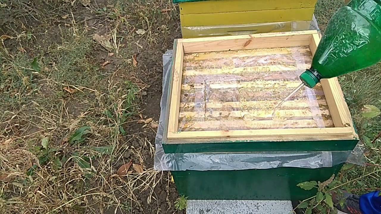 Весенняя обработка пчел от клеща. Обработка пчел бипином. Обработка пчелосемей бипином. Обработка пчел от клеща бипином. Обработка пчел от клеща осенью.