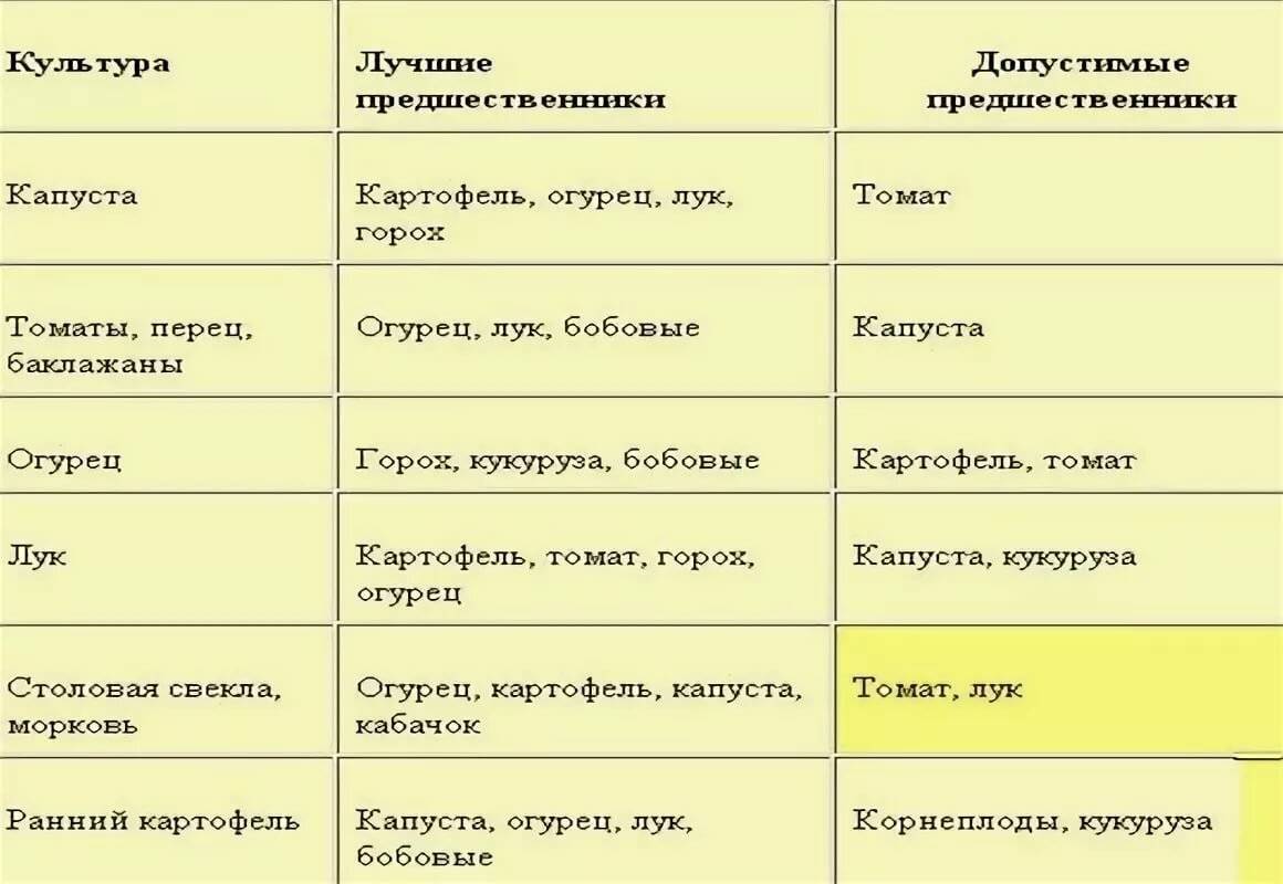 Что после чего растет. После каких культур сажать картофель. Что сажать после картофеля. Капуста после картошки можно сажать. Что посадить после картошки.