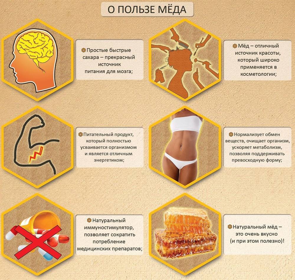 Вред меда для организма: негативное влияние вредного меда