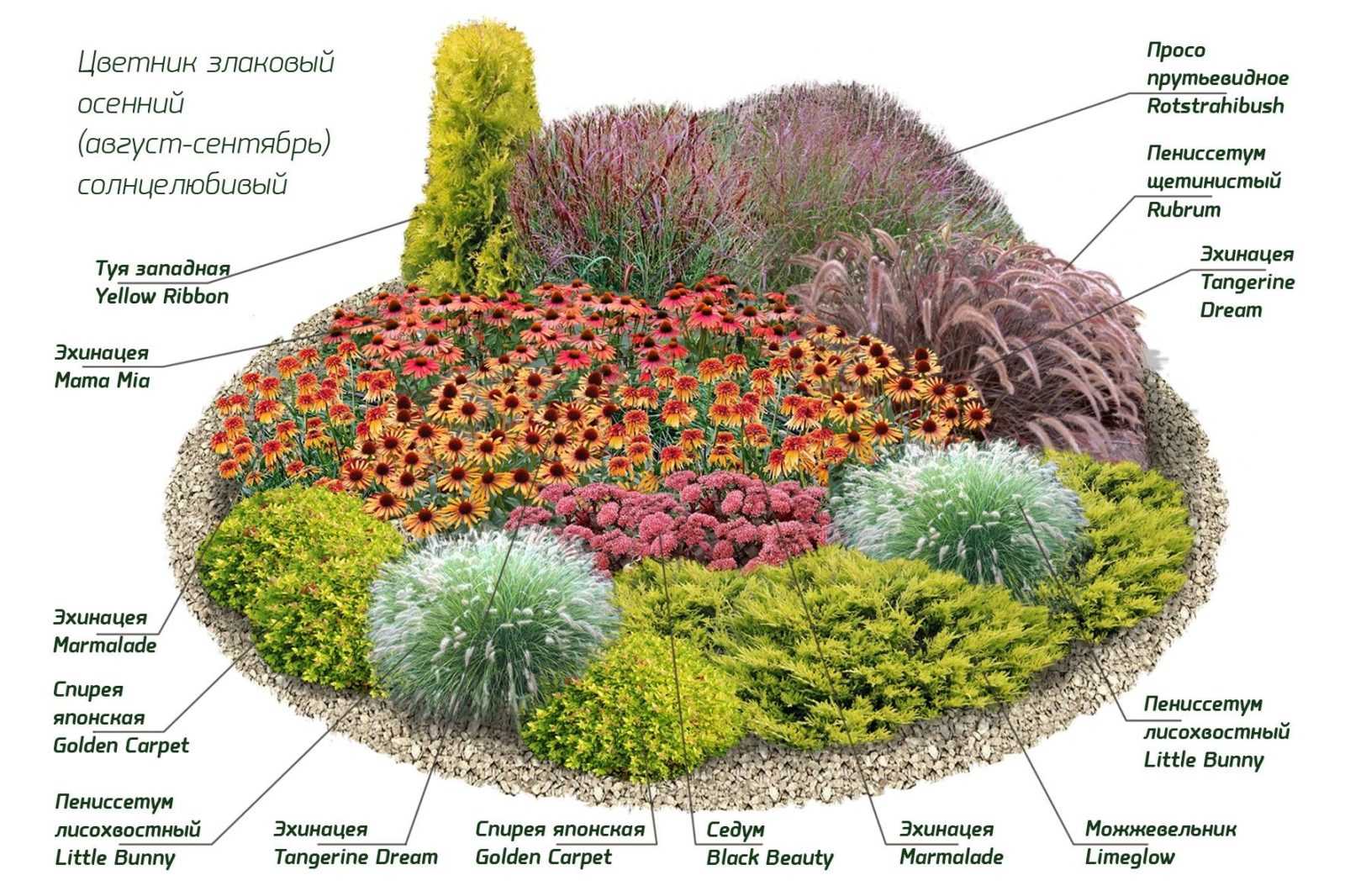 Принципы подбора растений для сада, клумбы, цветника, миксбордера