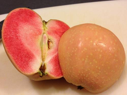 ᐉ яблоки с красной мякотью – что это за сорта и чем они лучше обычных