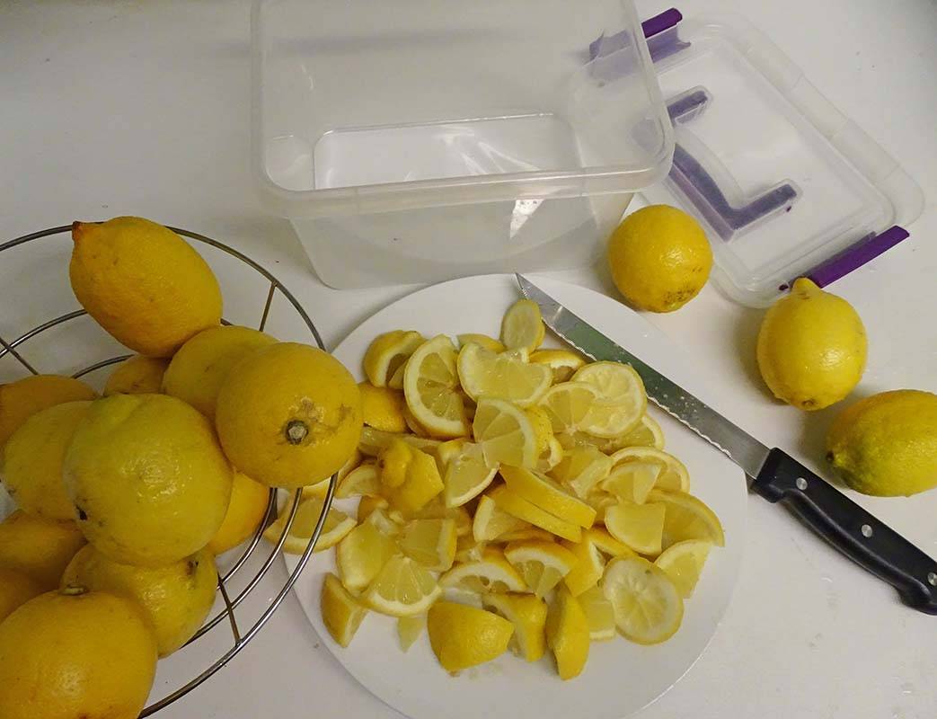 Как сохранить лимоны в домашних условиях в холодильнике, как хранить в морозилке