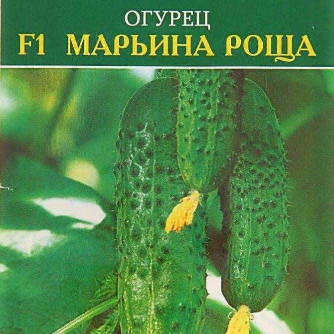 Огурец родничок f1: описание гибридного сорта, отзывы, фото, показатели урожайности