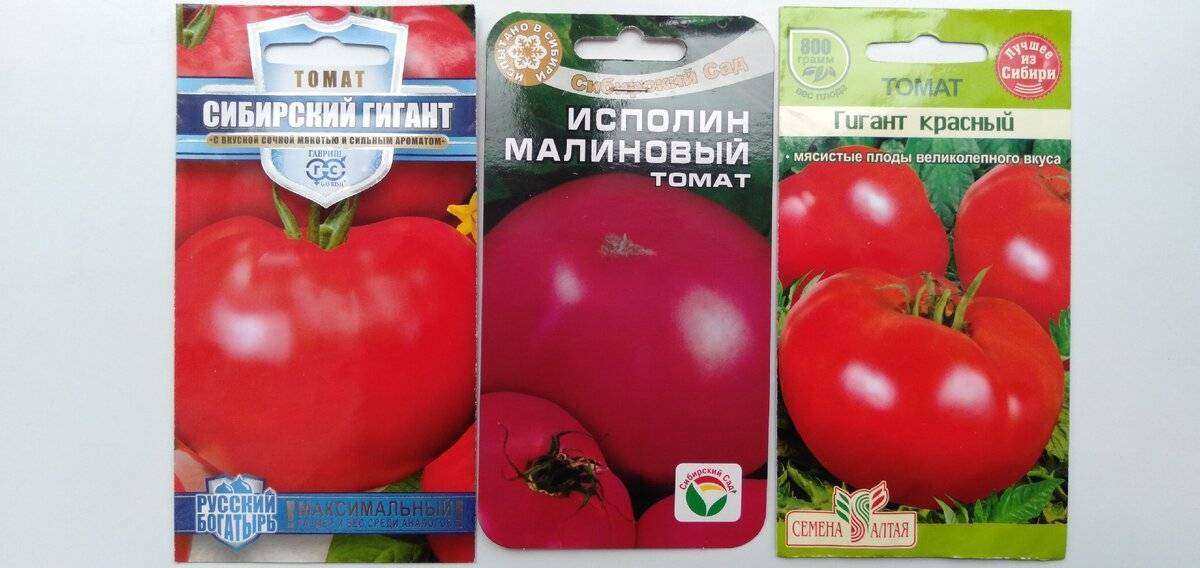 Сорт томата «гигант красный»: фото, видео, отзывы, описание, характеристика, урожайность.