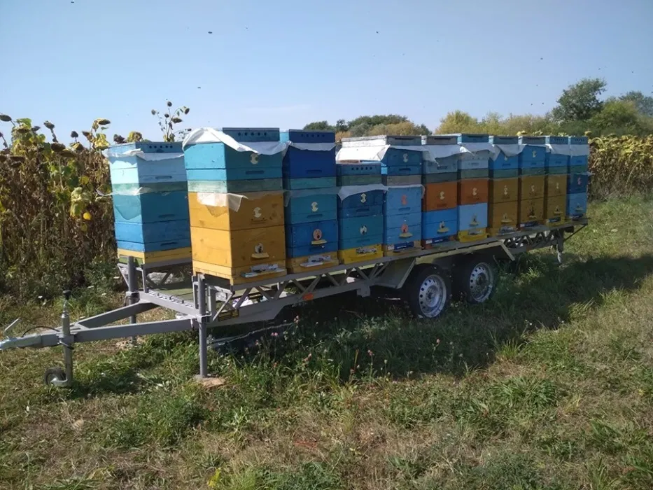 Как правильно перевозить пчел в разное время года. преимущества и недостатки кочевых пасек