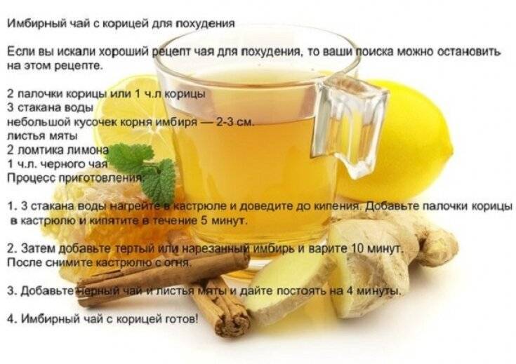 Имбирь с лимоном и медом - рецепты здоровья для поддержания иммунитета, лечения и похудения, настойки, отвары и другие формы, противопоказания и отзывы