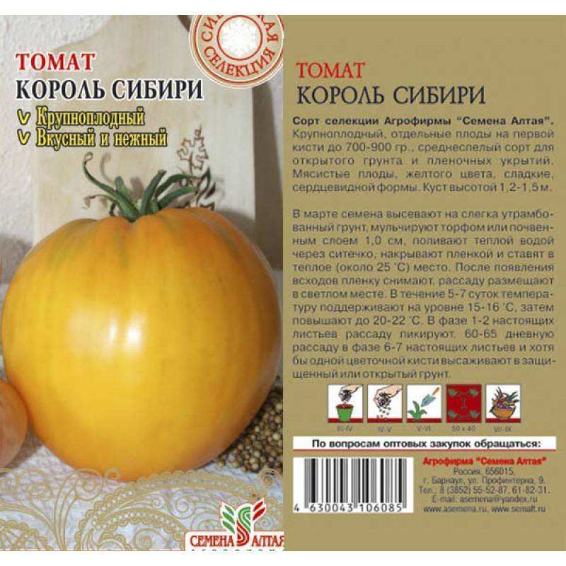 Томат чибис: отзывы, фото, урожайность, описание и характеристика