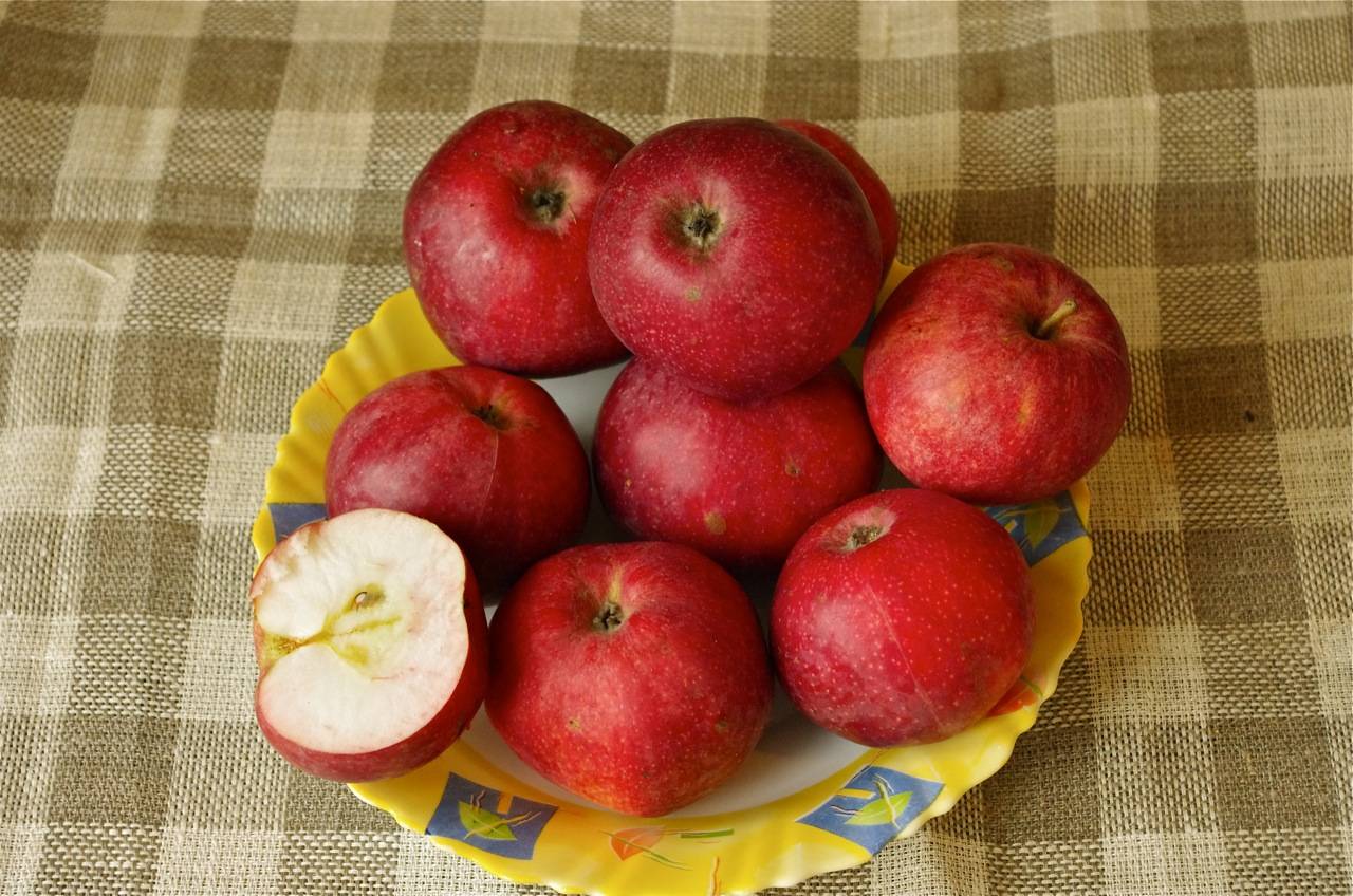 Сорт яблони белорусское сладкое
