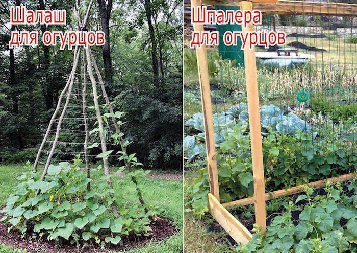 Шпалера для огурцов своими руками чертежи и фото