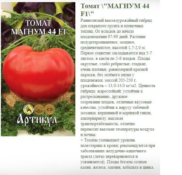 Описание гибридного томата багира, выращивание и борьба с вредителями