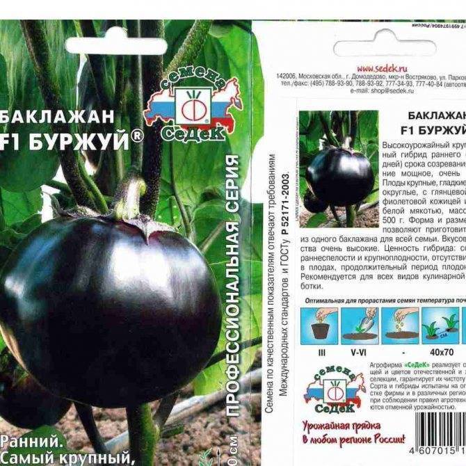 Баклажан щелкунчик: отзывы дачников, инструкция по выращиванию, характеристики кустов и плодов