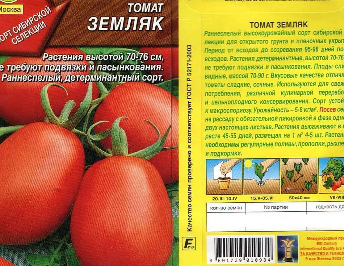 Цифомандра томатное дерево метод выращивания