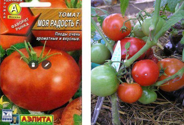Описание томата Моя радость и рекомендации по выращиванию гибрида