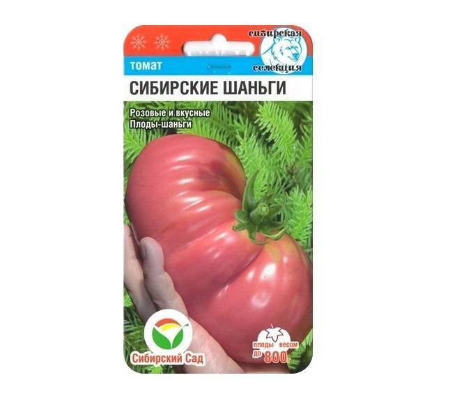 Лучшие томаты сибирской селекции: очень урожайные для теплиц и открытого грунта