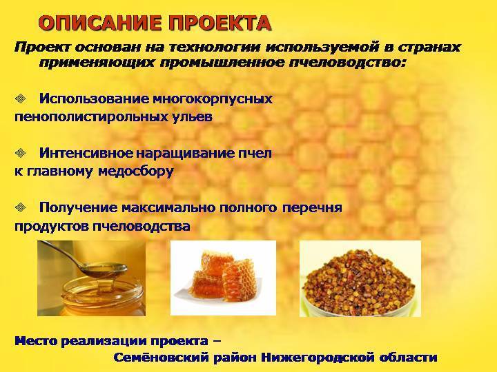 Мед и продукты пчеловодства: в чем польза для здоровья