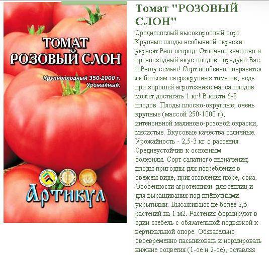 Томат алёша: отзывы, фото, урожайность | tomatland.ru