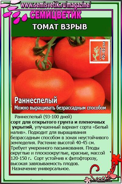 Лучшие сорта безрассадных томатов - дневник садовода parnikisemena.ru