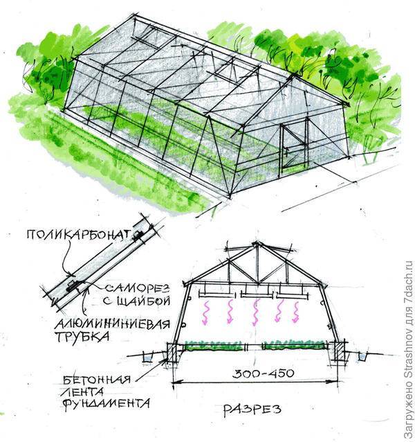 Промышленная теплица чертеж