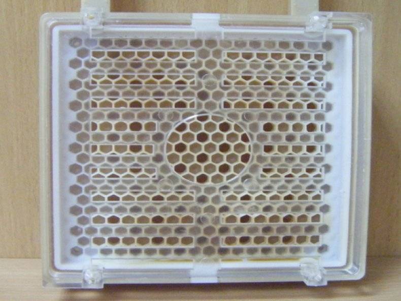 Система "джентерский сот" для вывода пчелиных маток (обновление 2017+2018 года, комплектация "расширенная") | магазин пчеловодства "пчеловод ком"