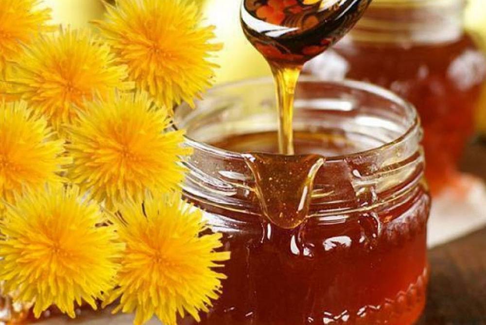 Как сварить мед из одуванчиков в домашних условиях