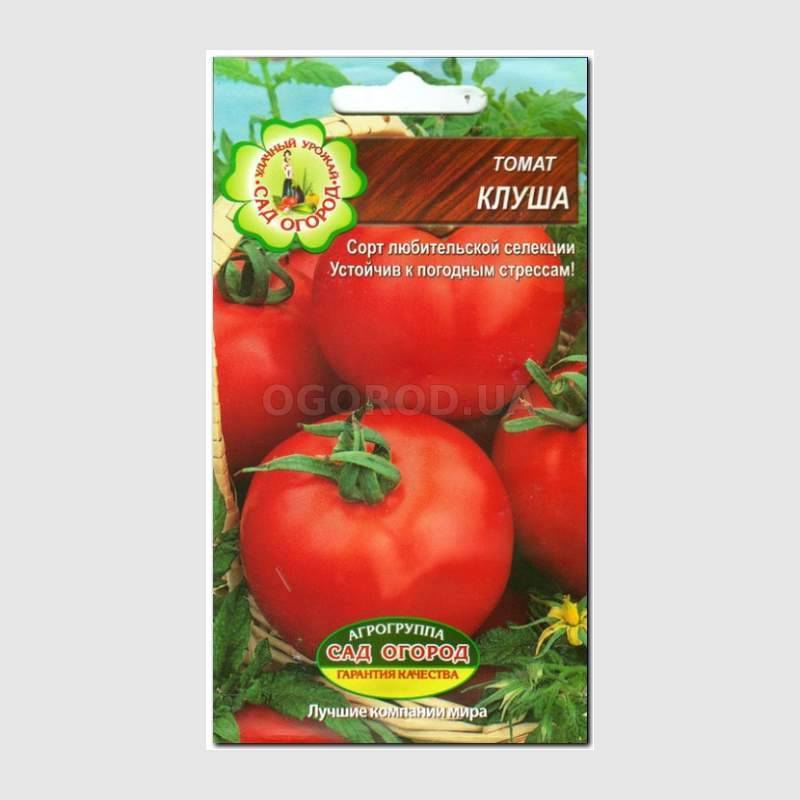 Характеристика и описание сорта томата клуша, его урожайность