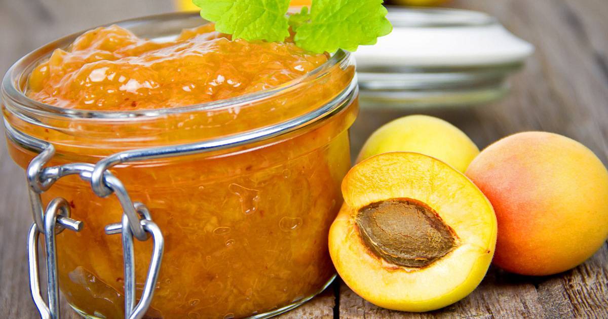 Повидло из абрикосов – 7 лучших рецептов для длительного хранения