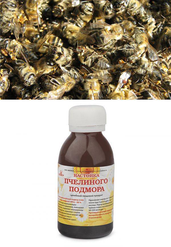 Используем пчелиный подмор при лечении аденомы простаты и простатите