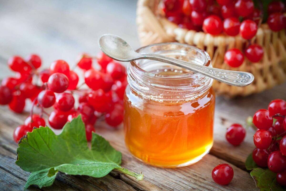 Клюква с медом - польза и вред, рецепты народной медицины